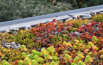 the cost of Little Bourton green roof installation