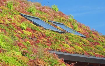 Little Bourton living roof systems