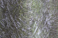 Little Bourton fibreglass roof work